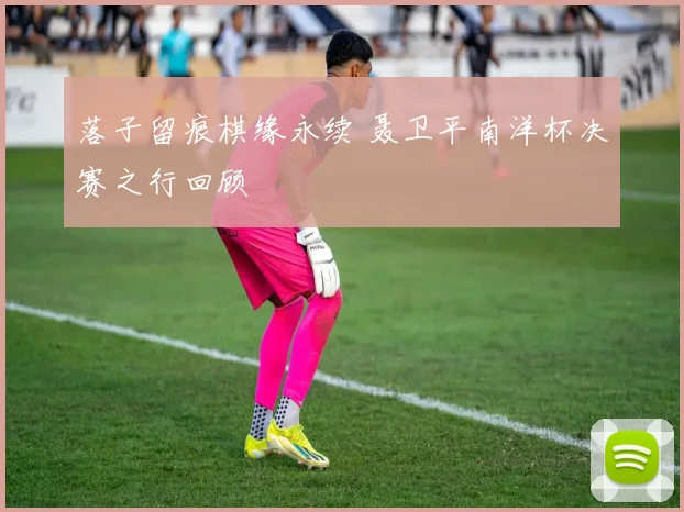 落子留痕棋缘永续 聂卫平南洋杯决赛之行回顾